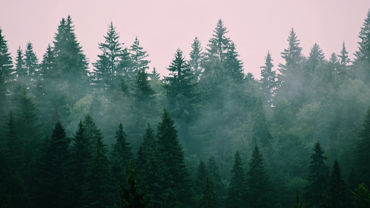 Nature & Environment