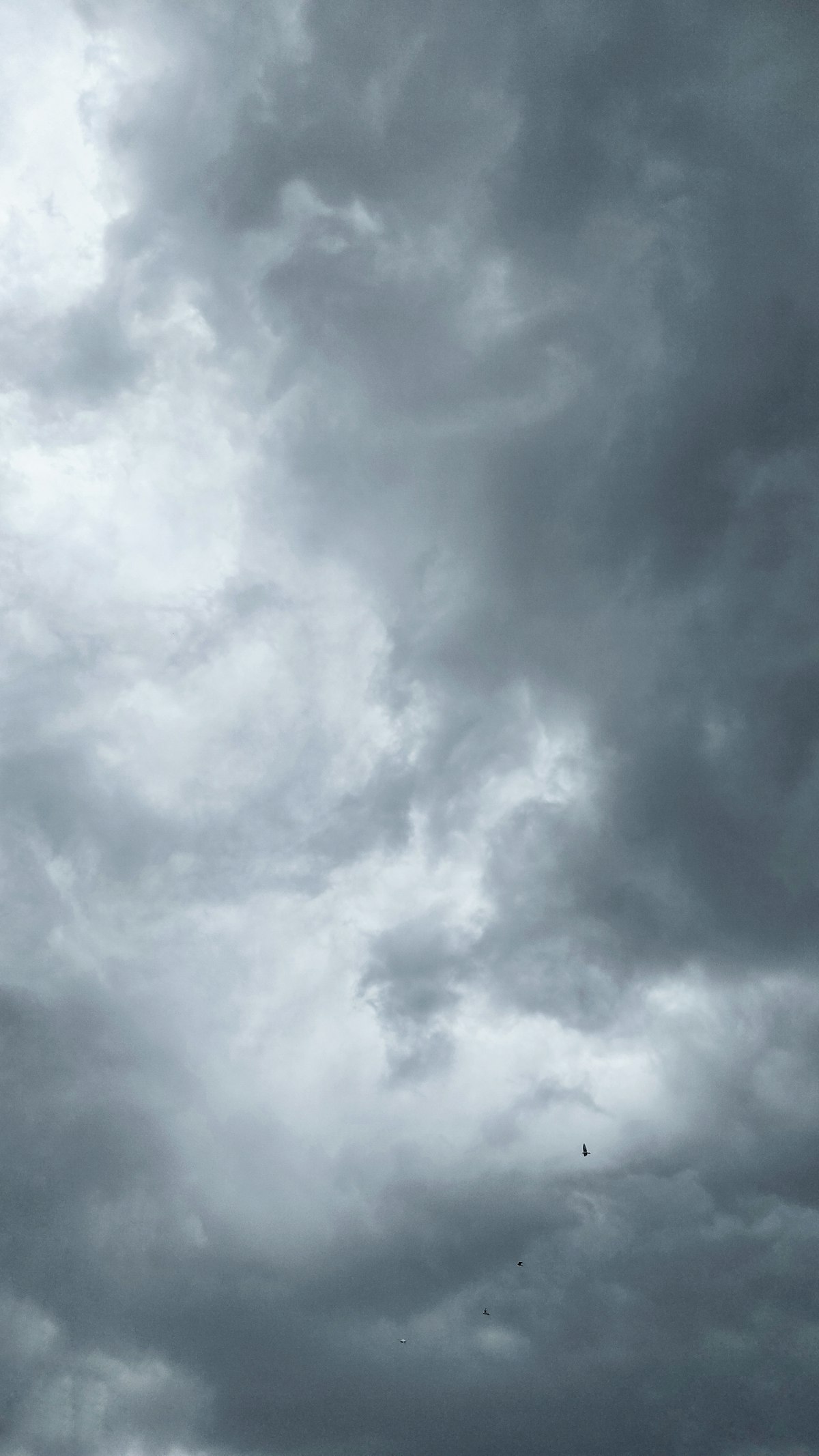 Weather & Nature